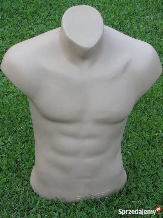 manekiny wystawowe męskie TORSY