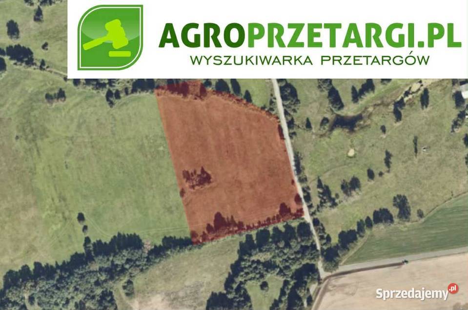 Dzierżawa 226 ha gruntu rolnego Wynajem Konin