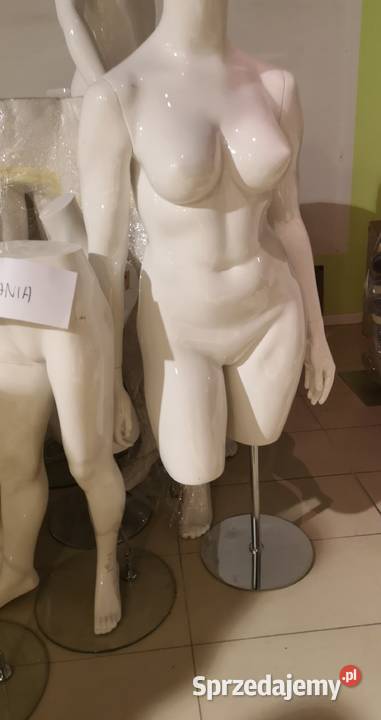 Manekiny sklepowe wystawowe w stanie Gdańsk Sklep