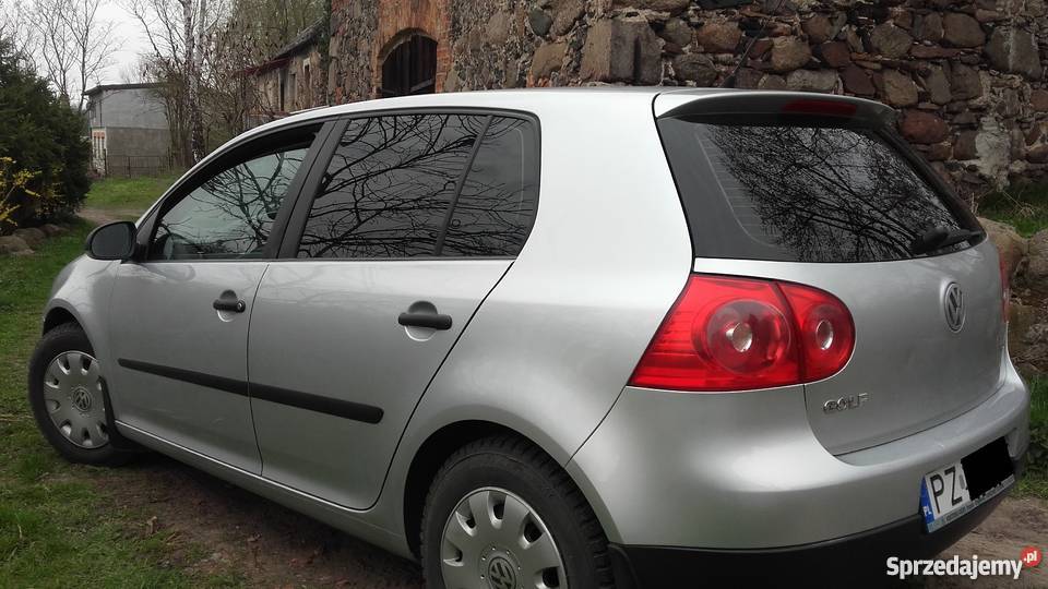 Wolksvagen Golf V 19 TDI srebrny Poznań