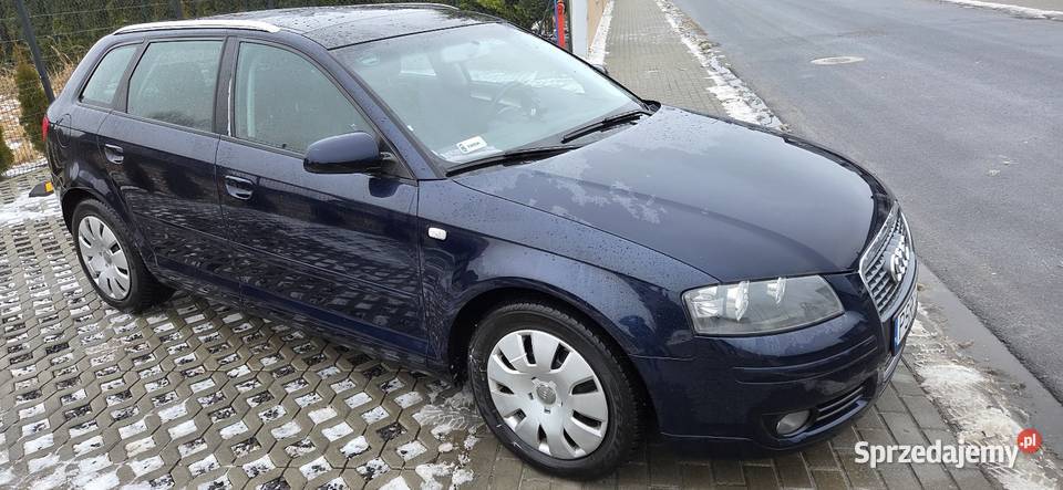Audi a3 8p sprtback 20tdi 140 BMM sprawdz diesel Pławce