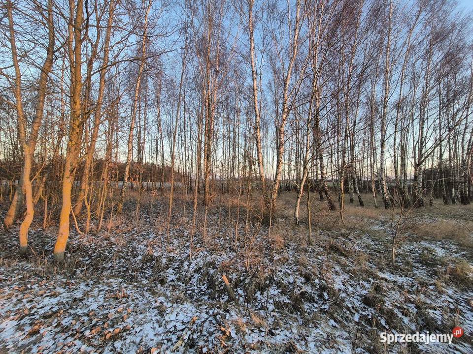 Ziemia rolna Sprzedaż Stara Błotnica