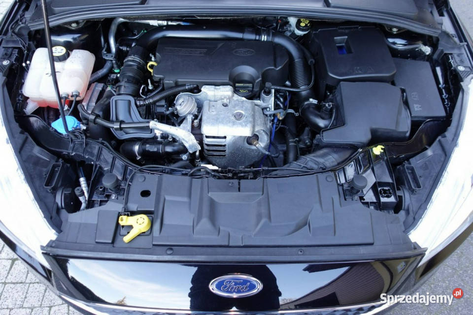 Ford Focus Led Bogate Wyposażenie 125 Zakup Door czarny Płońsk sprzedam