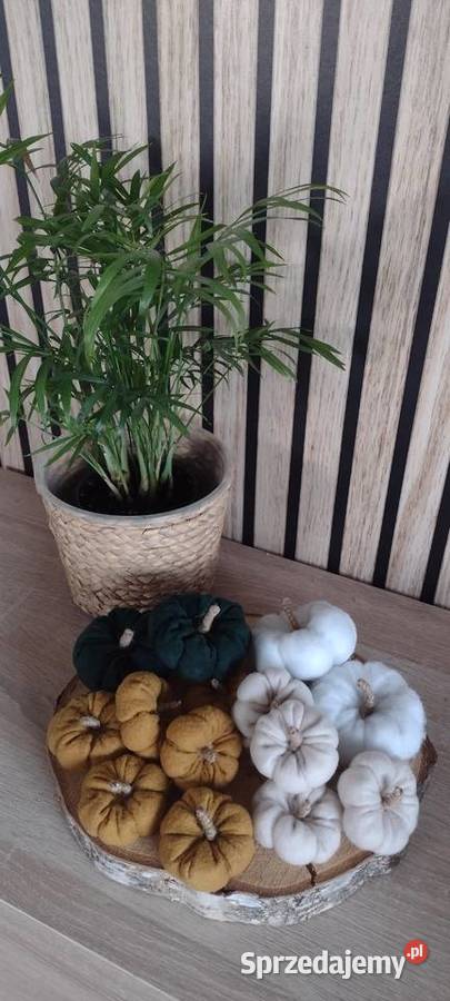 Dynie dekoracyjne małe Skoki