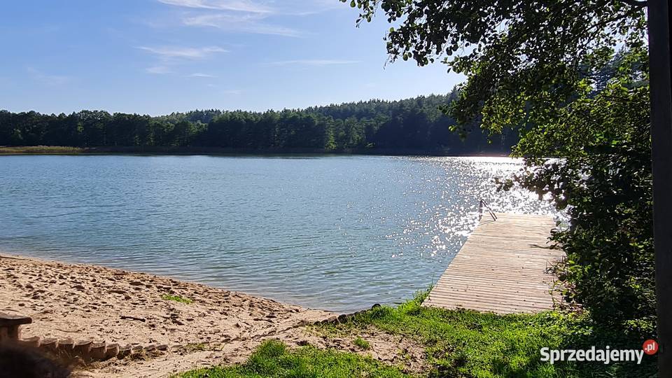 Działka 368 ara Mazury Grabowo 11700 Mrągowo Sprzedaż