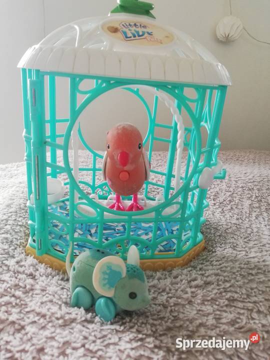 Zabawka interaktywna Ptaszek w klatce Gdynia