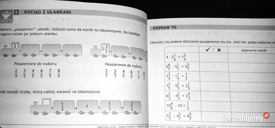MathRider Poziom 5 Zeszyt zadań domowych 3 Anita Chełm sprzedam