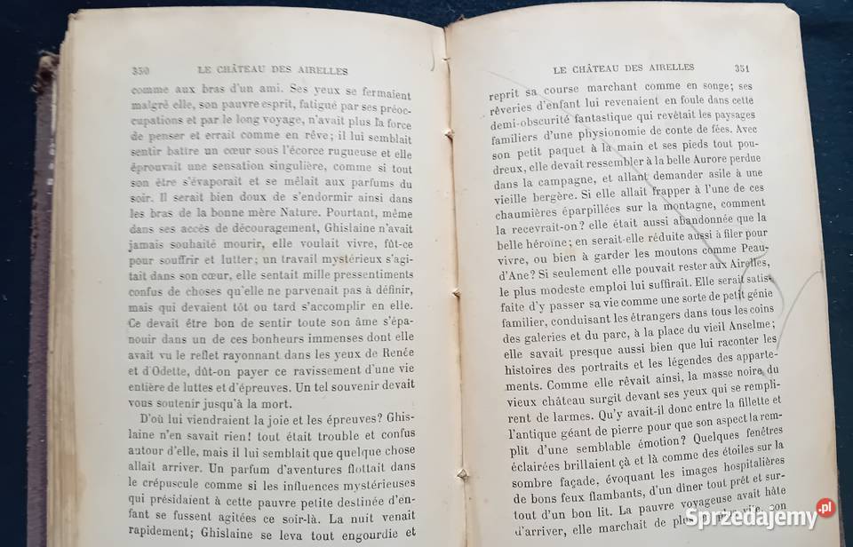 Gabriel Franay Le Chateau des Airelles Paris Koźminek