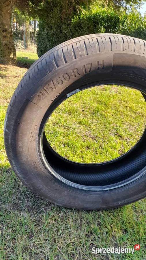 Continental ecocontact 2156017H 60 Motoryzacja zachodniopomorskie Golczewo