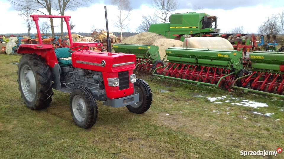 traktor MASSEY FERGUSON 135 Aleksandrów