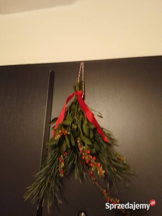 Jemiołka pęczki kulki wielkopolskie Poznań