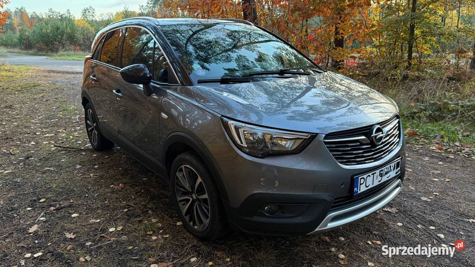 12i Automat 62 Zarejestrowany Piła