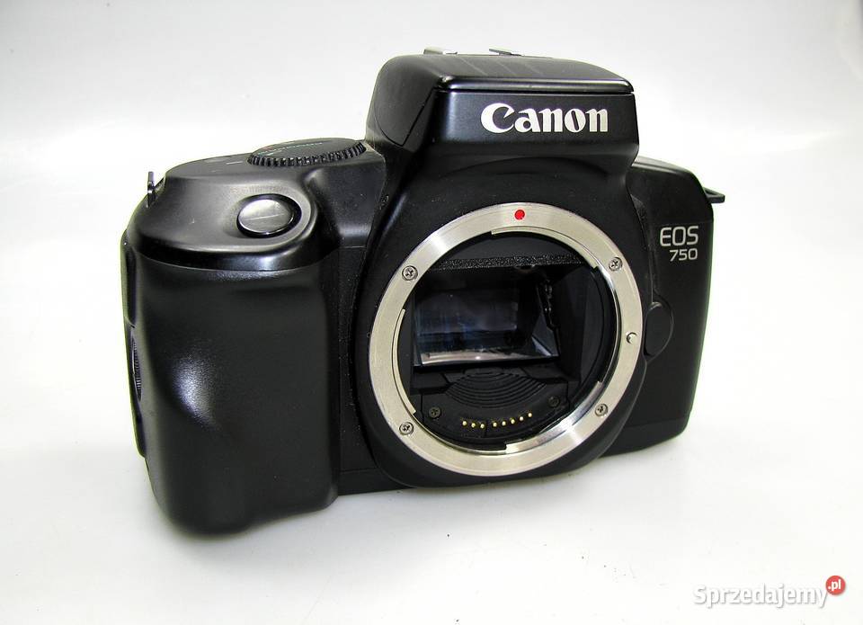 APARAT CANON EOS 750 body APARAT FOTOGRAFICZNY świętokrzyskie Brody