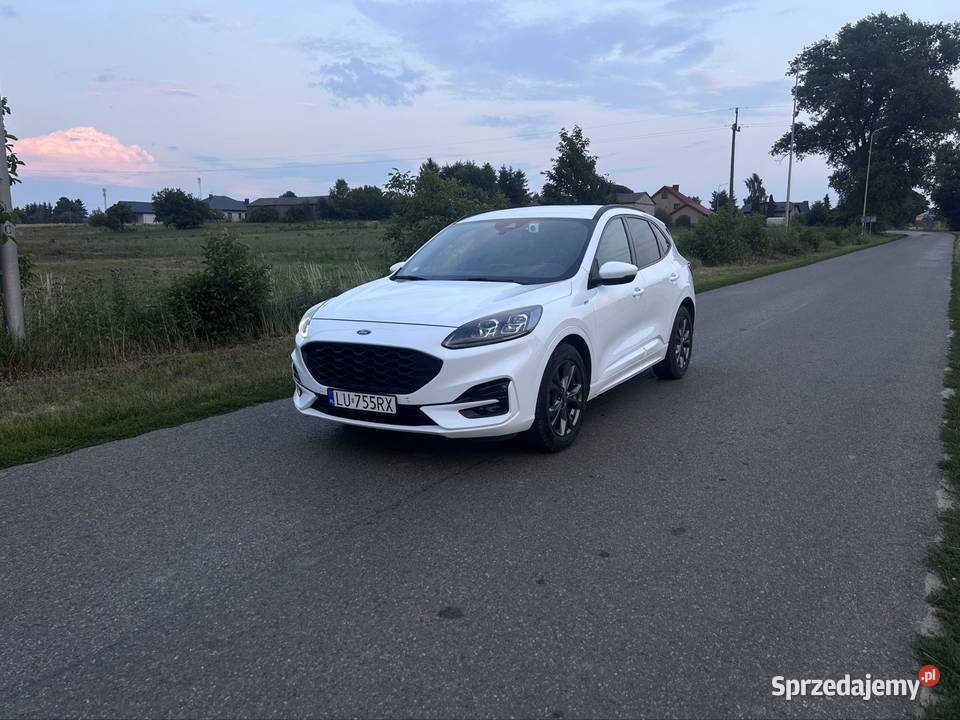 Ford Kuga STLine X Rok produkcji 2020 Piotrowice Wielkie