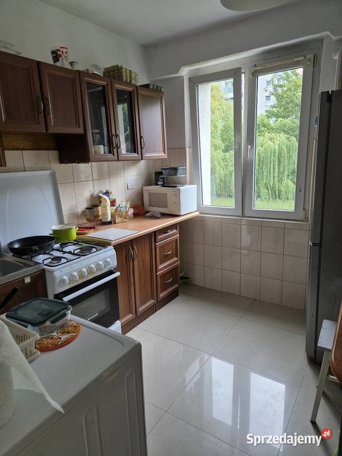 Wynajmę mieszkanie dwupokojowe piastowskie Piętro 1 Poznań