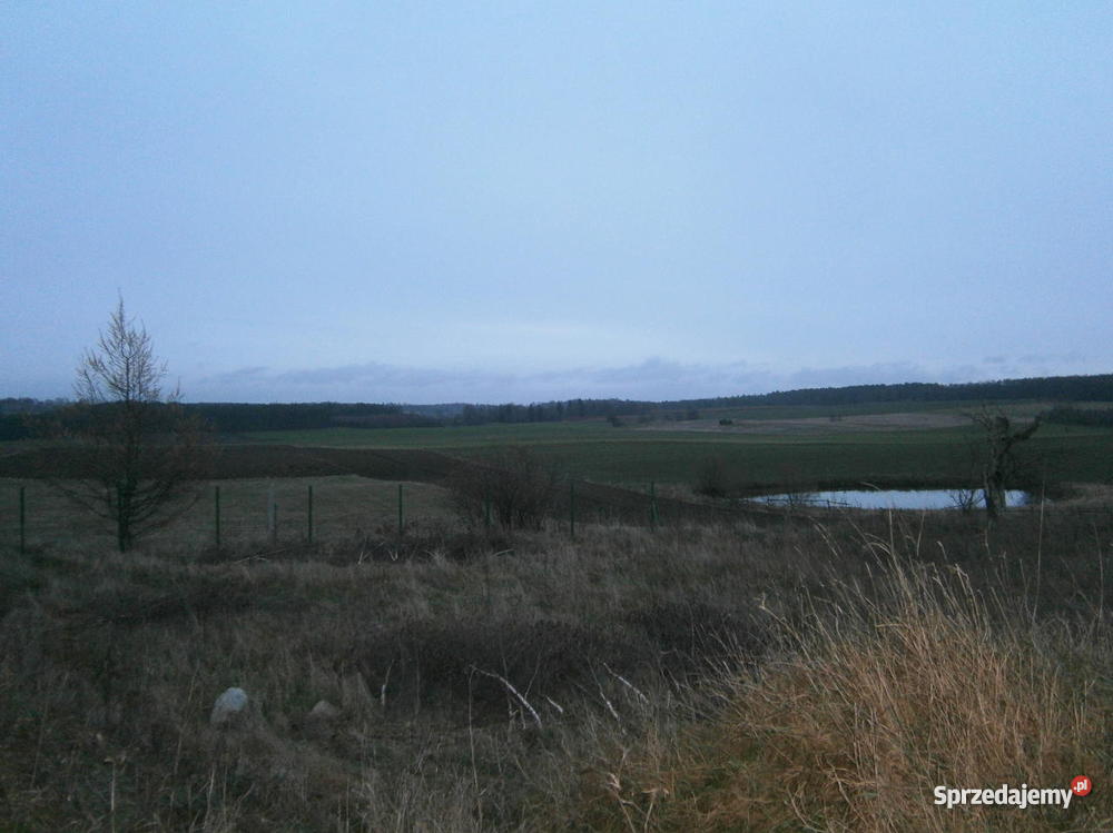 działke siedliskowa uzbrojona 3000m2 w wojewódz 20zł/m2 Dziechlino