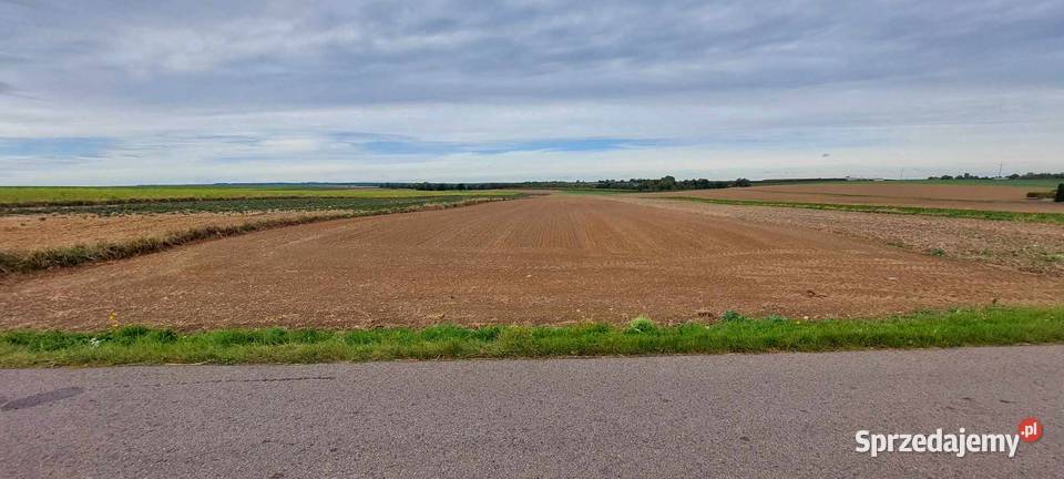 Niedroga działka budowlana 10ar w miejscowości Żegotów
