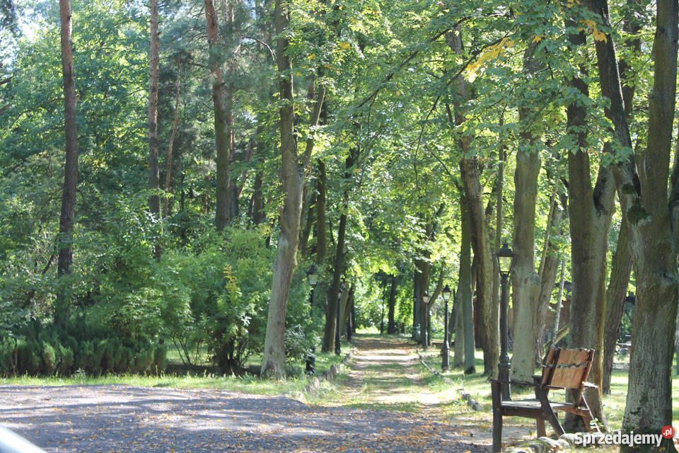Villa Duchowizna pod Wwą na sprzedaż 475 ha Grunty i działki Zakroczym