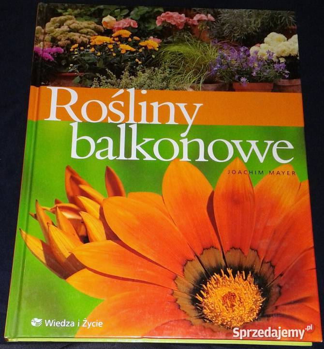Rośliny balkonowe Joachim Mayer lubelskie Chełm