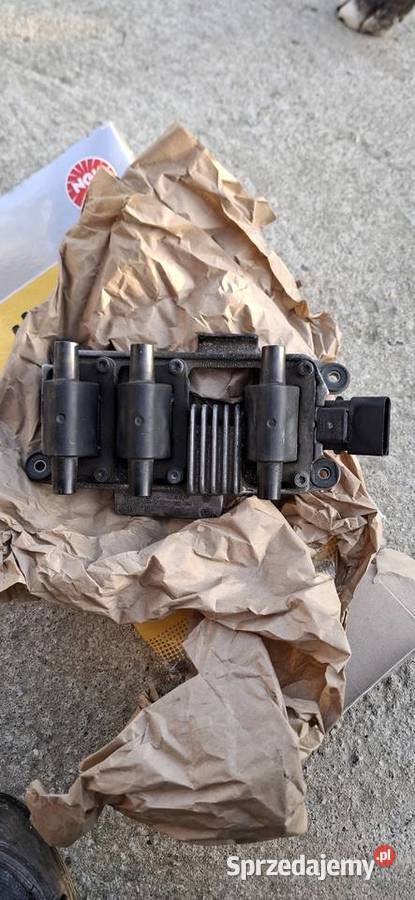 Cewka zapłonowa dolnośląskie Uraz