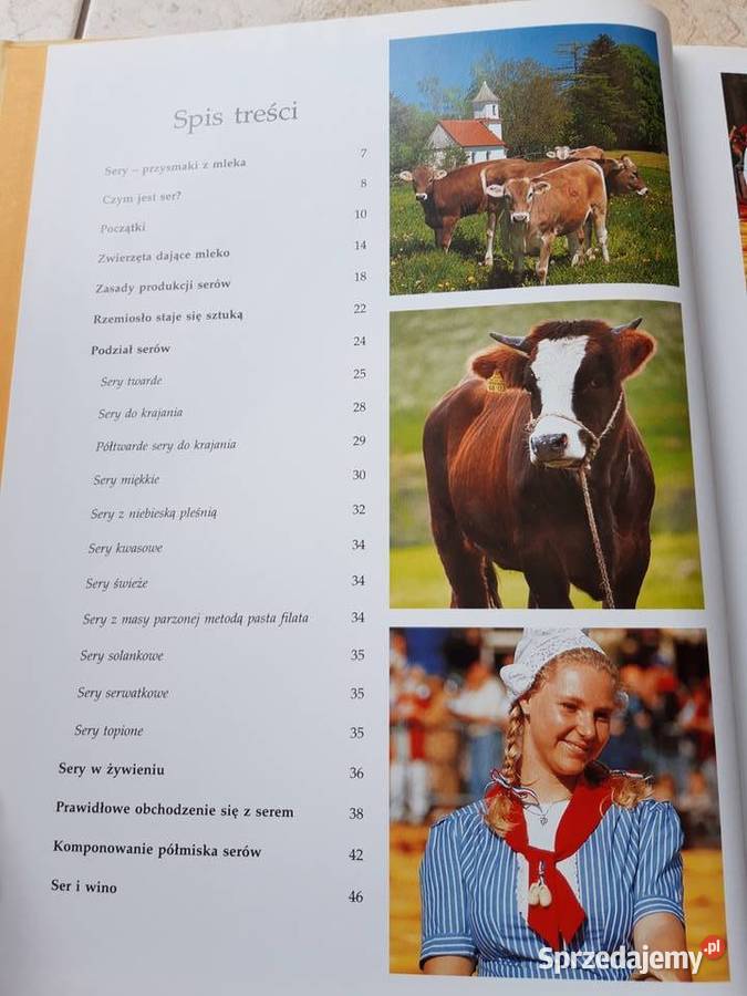 Sery Porady smakoszy ARKADY 2004 śląskie Bielsko-Biała