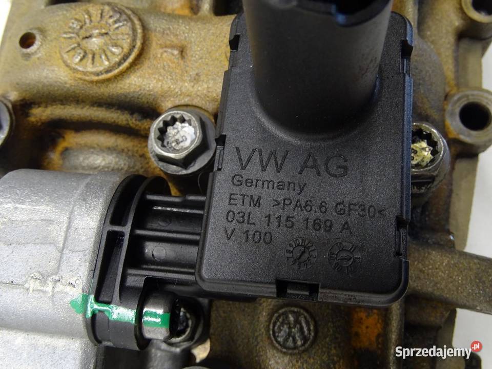 POMPA OLEJU WAŁKI CGL 03L103537 20 TDI AUDI A4