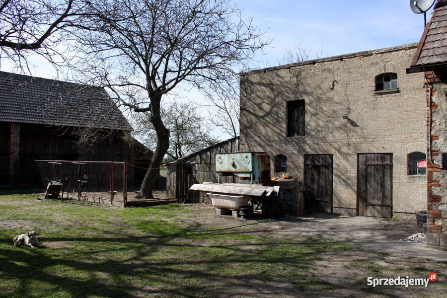 Dom gospodarstwo Wilkowiecko gm Opatów pow Kłobu wolnostojący