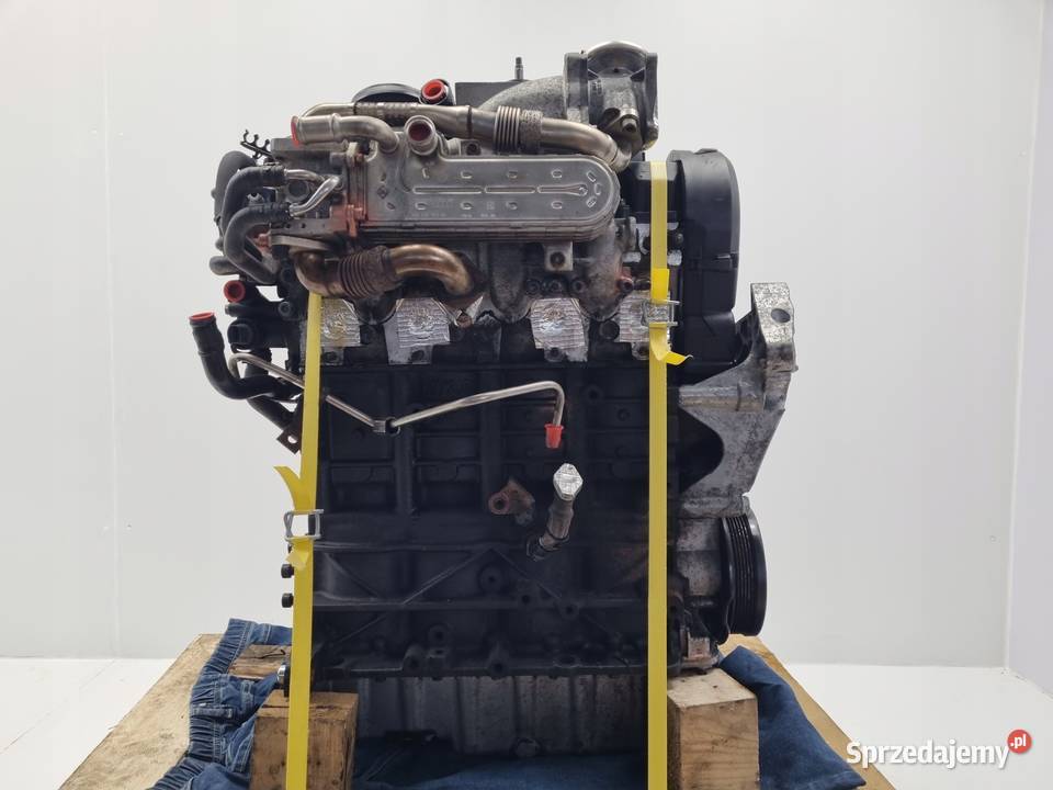 SILNIK VW Golf V Jetta III Touran Passat B6 19 osobowe lubelskie Rudka sprzedam