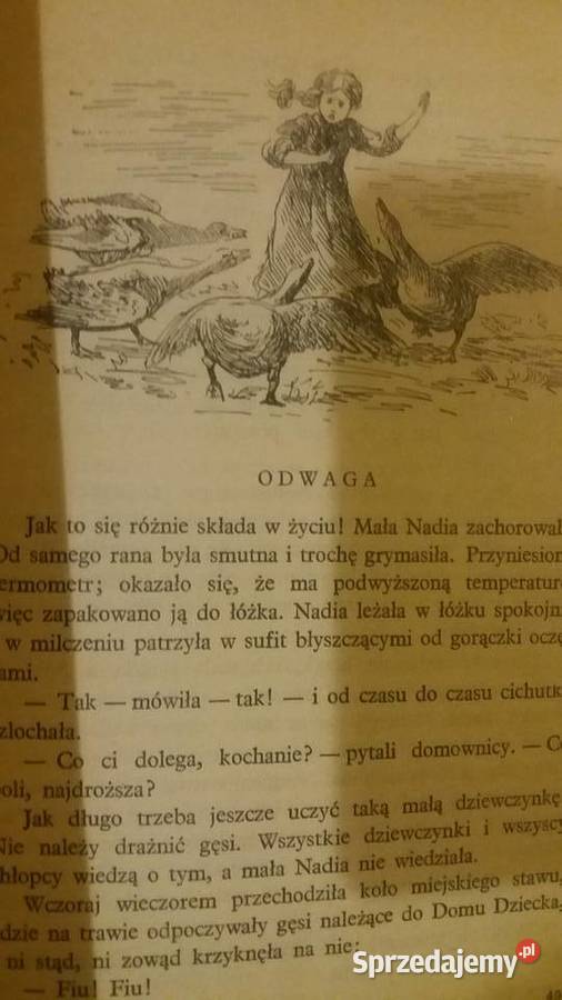 Przygoda w lesie piękne książki dziecięce Dzień mazowieckie Warszawa