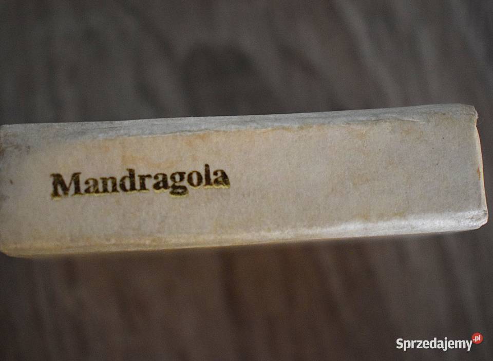Mandragola Niccolo Machiavelli miniatura Chełmno