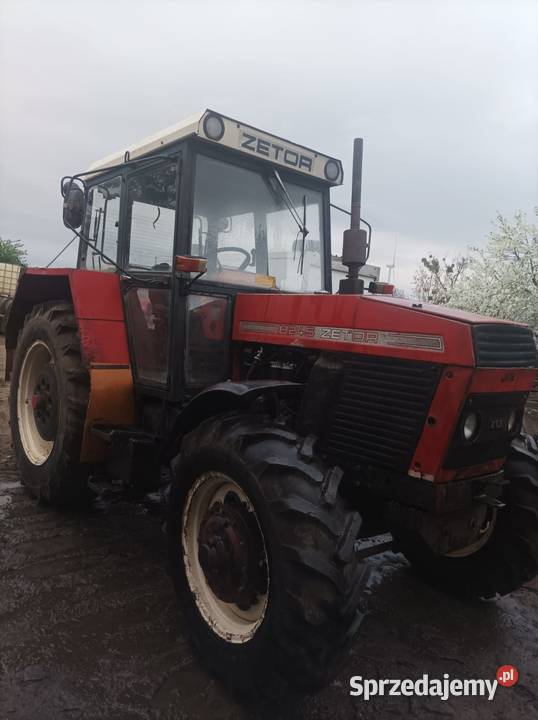 Sprzedam Zetor 8245 Pogorzela