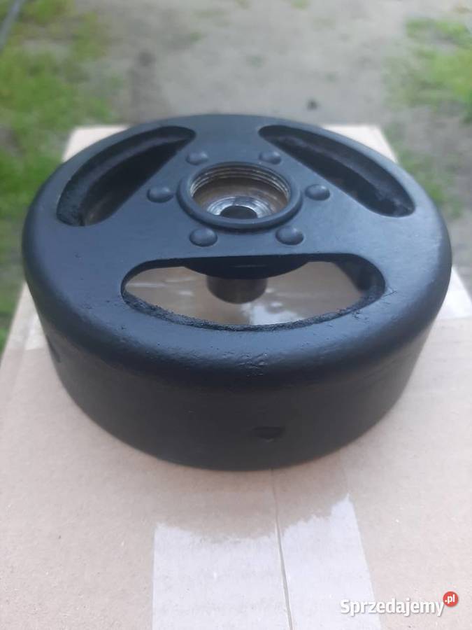 Magneto do Simsona s50 platynki