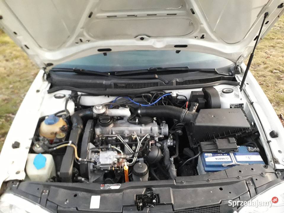 VW Golf 4 19 TDi Hombi Hak 1896cm3 warmińsko-mazurskie Pozezdrze