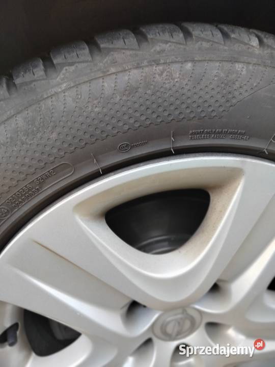 Sprzedam opla insignie Koronowo