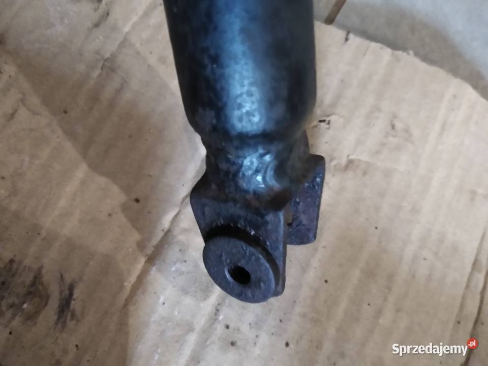 Wfm osa pozostalosc Kruszwica