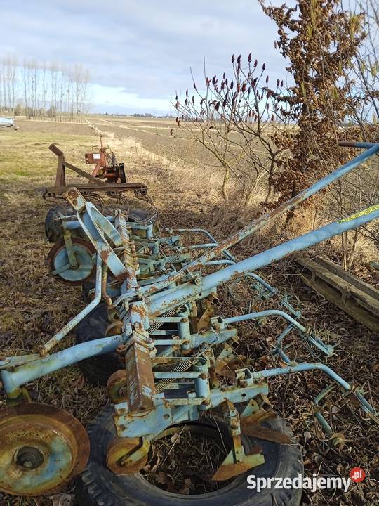 Wielorak pielnik lubelskie Turobin sprzedam