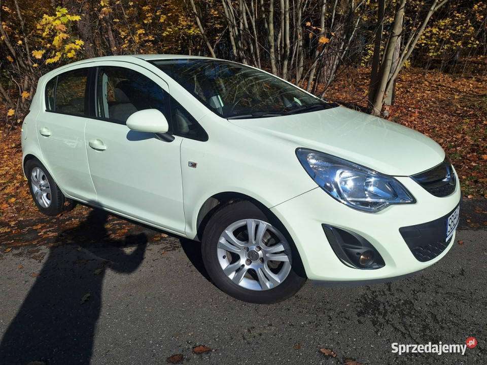 Opel Corsa Active D 20062014 manualna śląskie