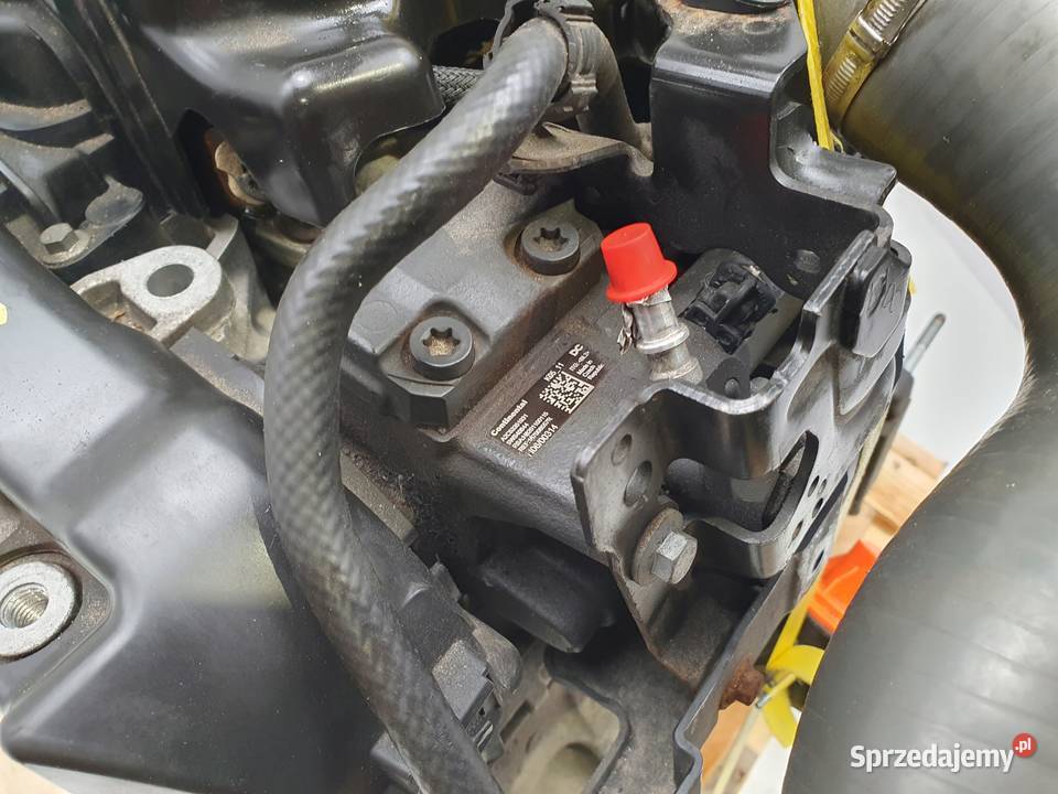 SILNIK K9K636 Nissan Juke Pulsar 15 DCI 110 Rudka