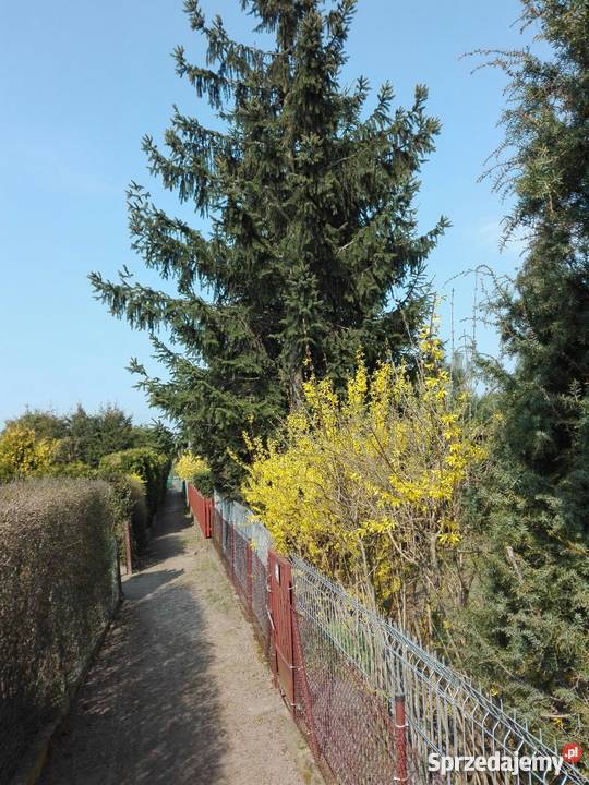 Działka ROD Minikowo Poznań sprzedam