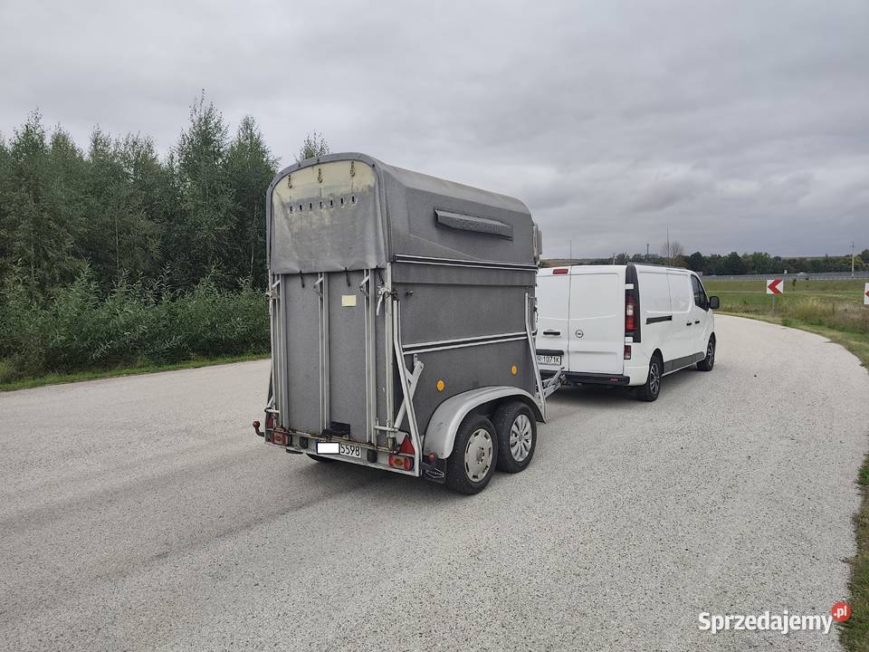Przyczepa BOCKMANN DMC 1300 KAT B KAMERA Do przewozu koni Wodzisław