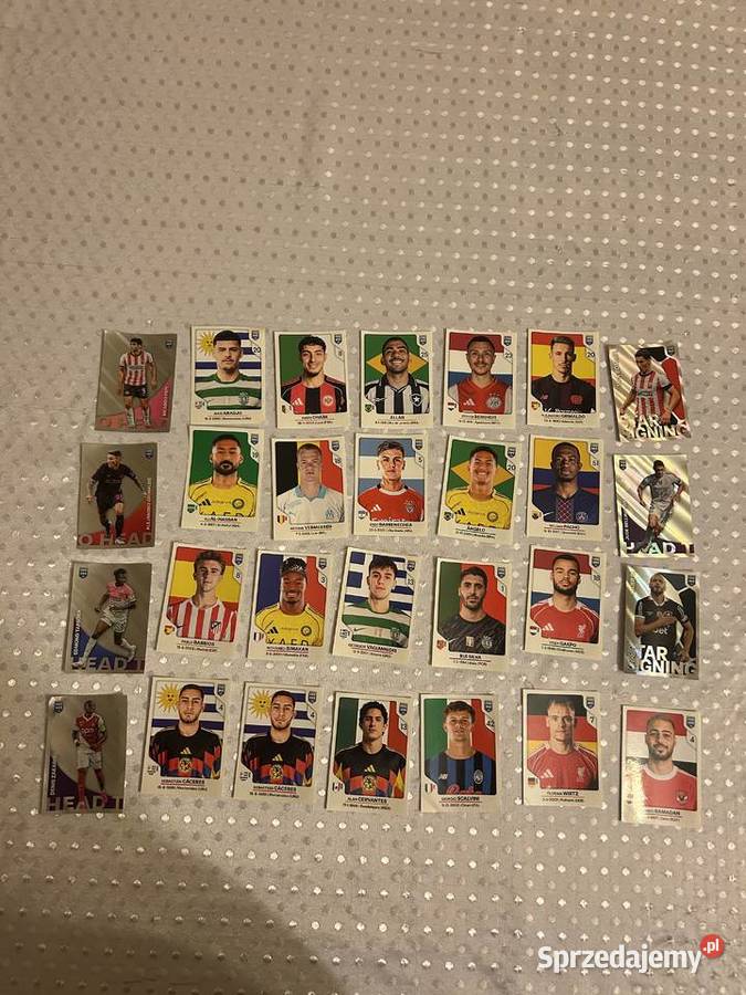 Naklejki panini fifa 365 wielkopolskie Puszczykowo