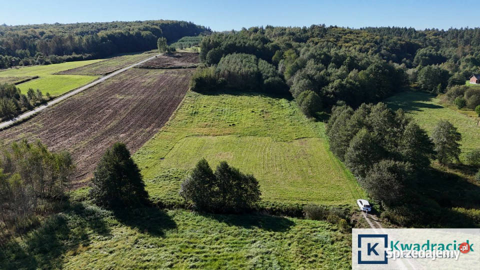 Działka Sieklówka 12304m2 12304m2