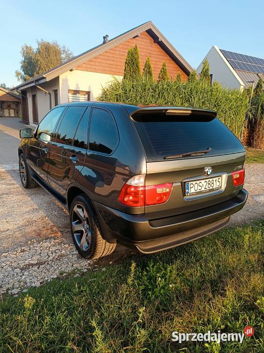Bmw X5 e53 Piękna Lamki
