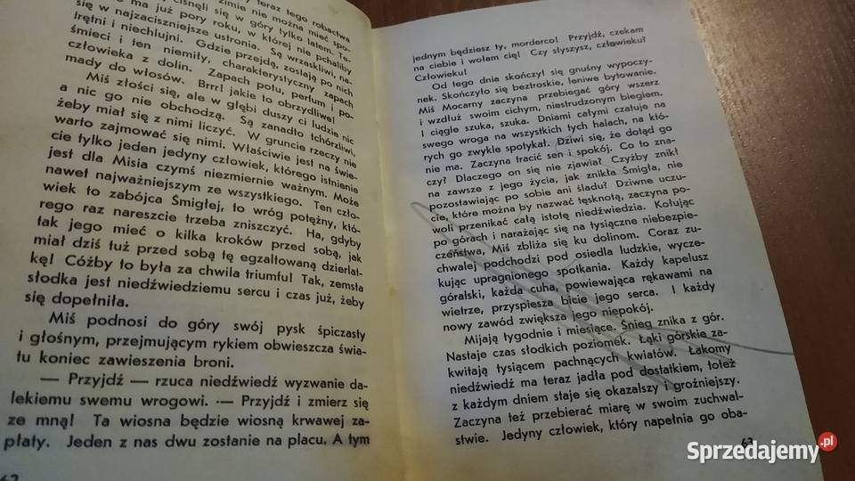 Pojednanie powieść o niedźwiedziu tatrzańskim pomorskie Gdańsk