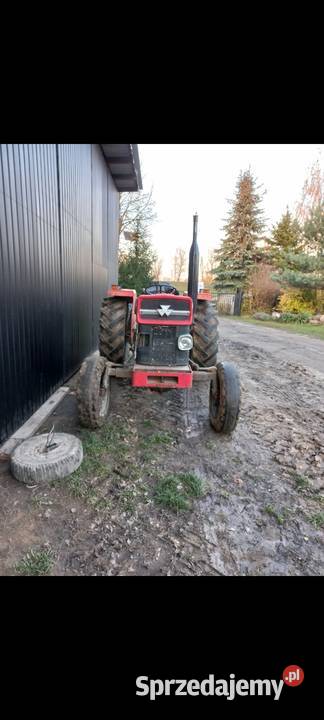 Ciągnik ferguson ursus zetor Ferguson Gąbin