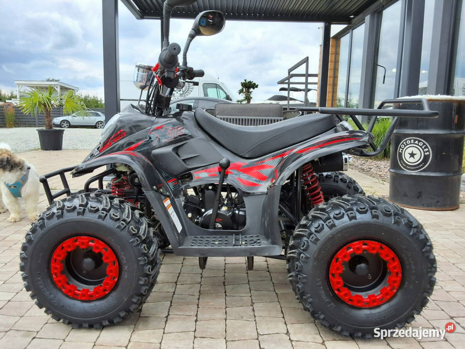 XTR Inny Bigfoot 125 Pro kładquad czterokołowiec Bicz