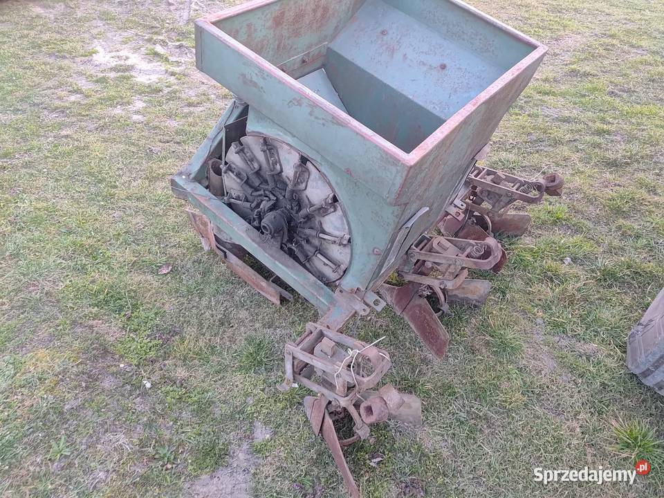 Sadzarka czeska Zabrze