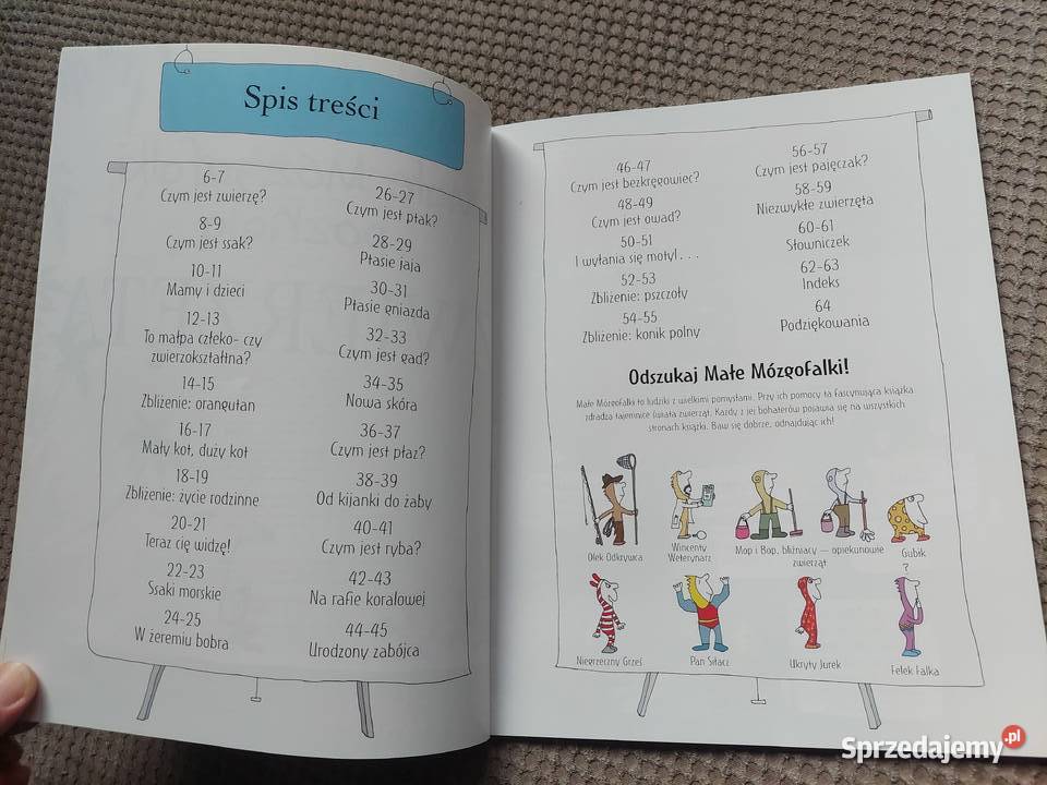 National Geographic Małe Mózgofalki poznają Kraków