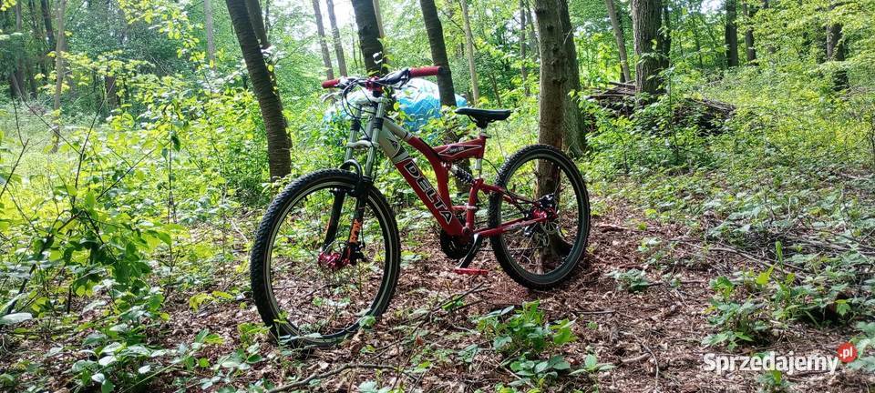 Rower Downhill Delta Sport 505 Połomia