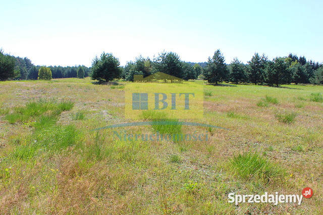 Działki inwestycyjna jeziorem Siecino Sprzedaż